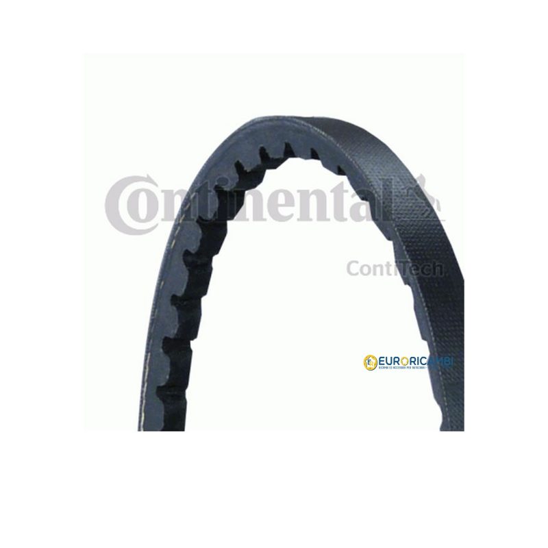 Cinghia 10X1100